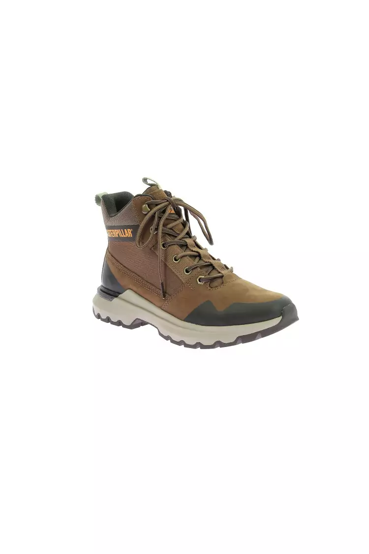 COLORADO SNEAKERS DACHSHUND