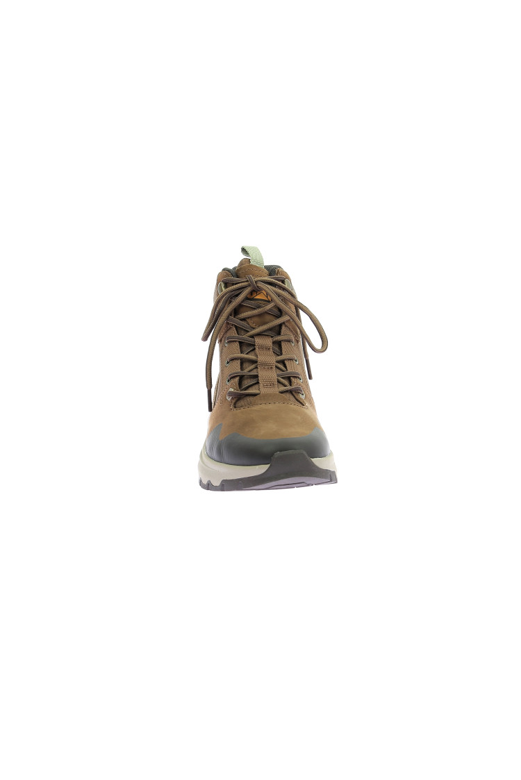 COLORADO SNEAKERS DACHSHUND COLORADO SNEAKERS DACHSHUND