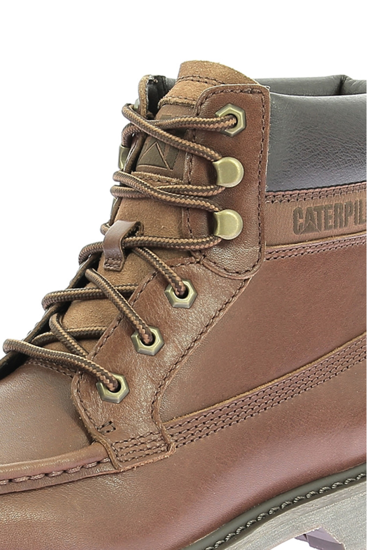 Colorado moc toe Nuthatch Colorado moc toe Nuthatch