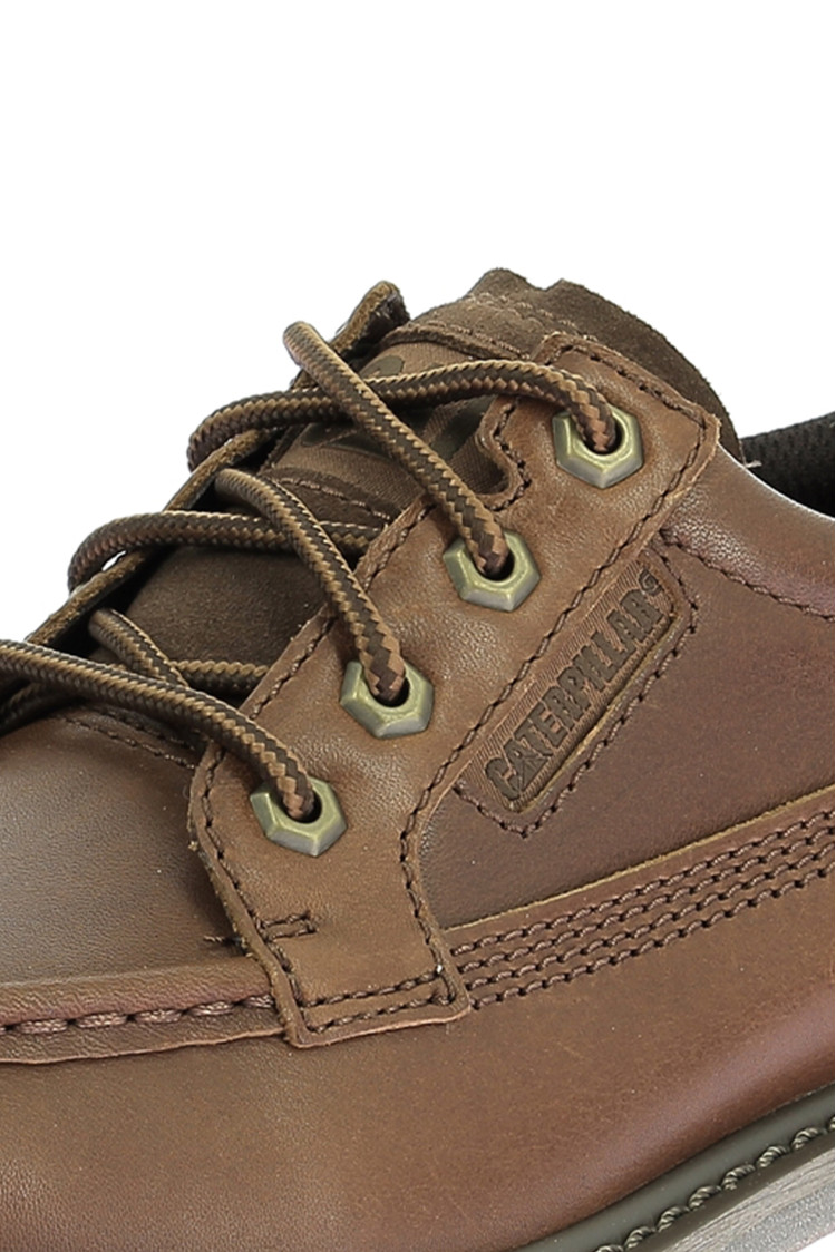 Colorado moc toe Nuthatch Colorado moc toe Nuthatch