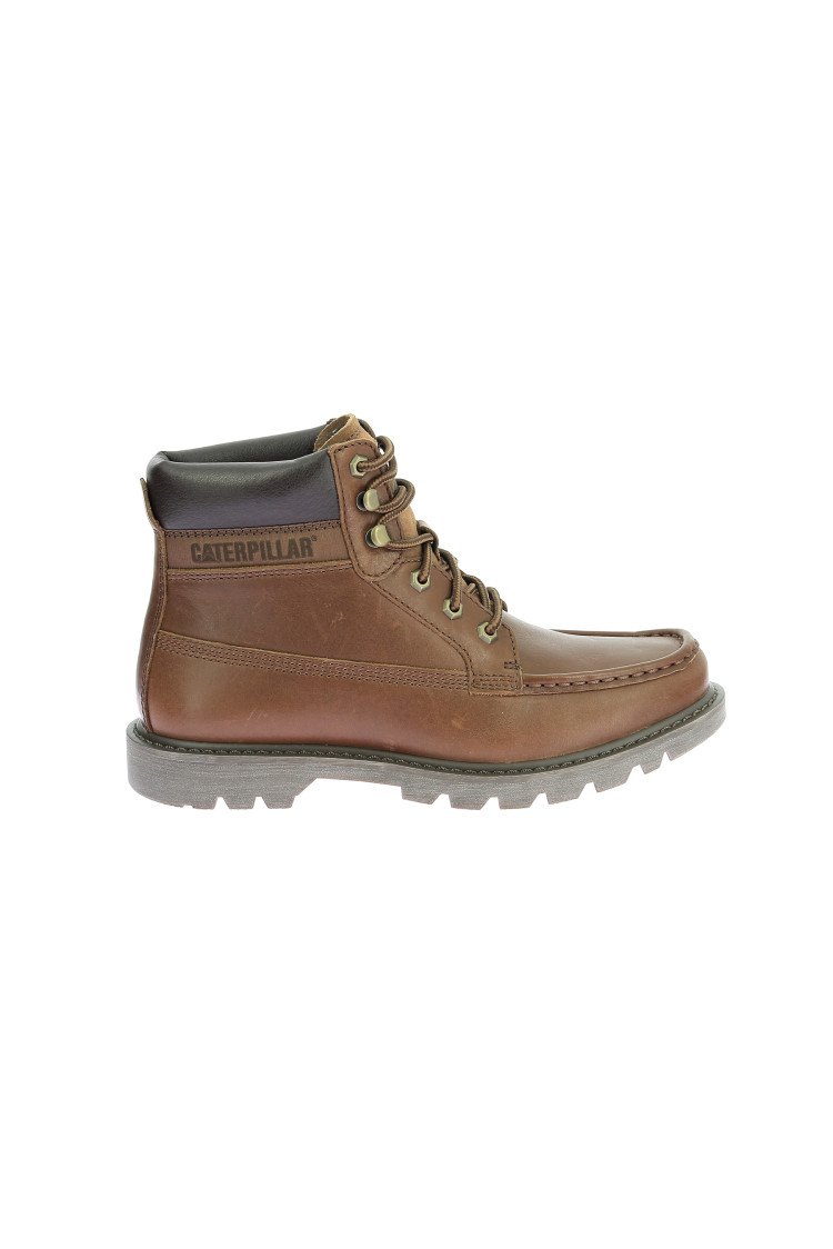 Colorado moc toe Nuthatch Colorado moc toe Nuthatch