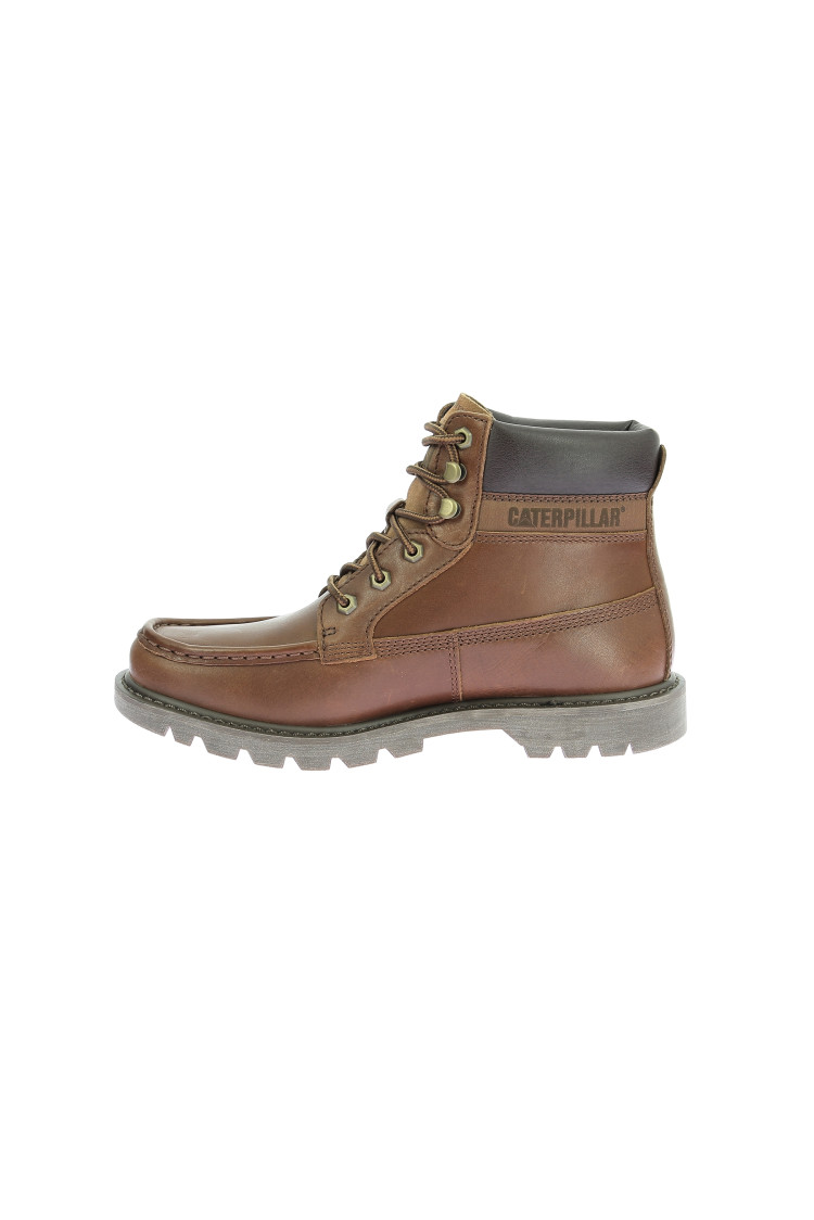 Colorado moc toe Nuthatch Colorado moc toe Nuthatch