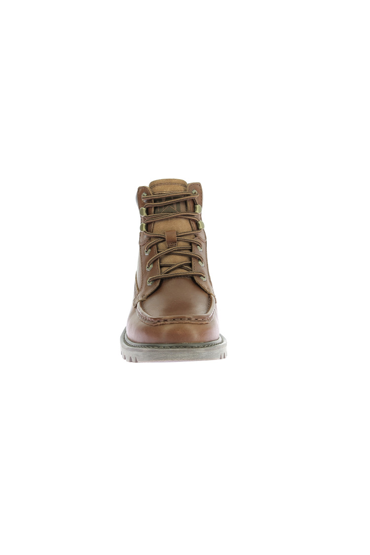 Colorado moc toe Nuthatch Colorado moc toe Nuthatch